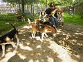 Afb_20160715 (20)